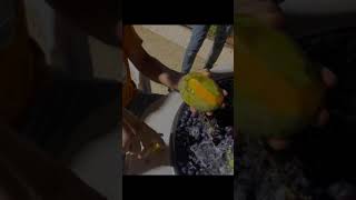 أكل ليبيا - رز و حمام ?? Libyan Food  #Shorts #Food #Libya #أكل #ليبيا