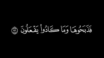 قالوا ادع لنا ربك يبين لنا ما هي إن البقر تشابه/سورة البقرة أية(70-73)#كرومات#الشيخ_ياسر_الدوسري