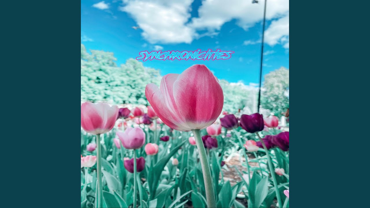 Watch Synchronicities on YouTube Watch Synchronicities on YouTube