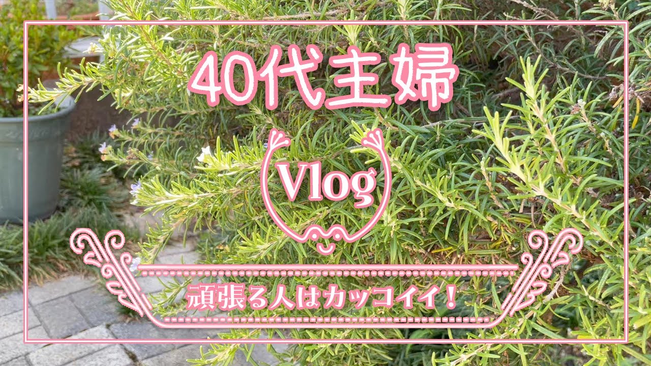 40代主婦Vlog】▷▷▷トピアリー仕立て直し／ローズマリー剪定／夏の庭