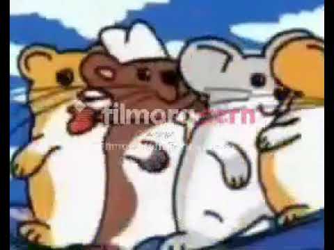 Video Random:Hampster Dance epic covqer