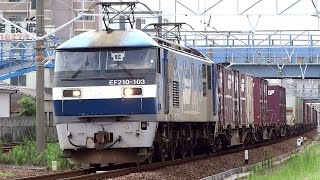 JR貨物 EF210-103 貨物列車 (1071レ 桃太郎) 東海道本線 共和駅 通過