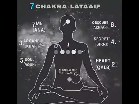 7 lataif on your body - YouTube