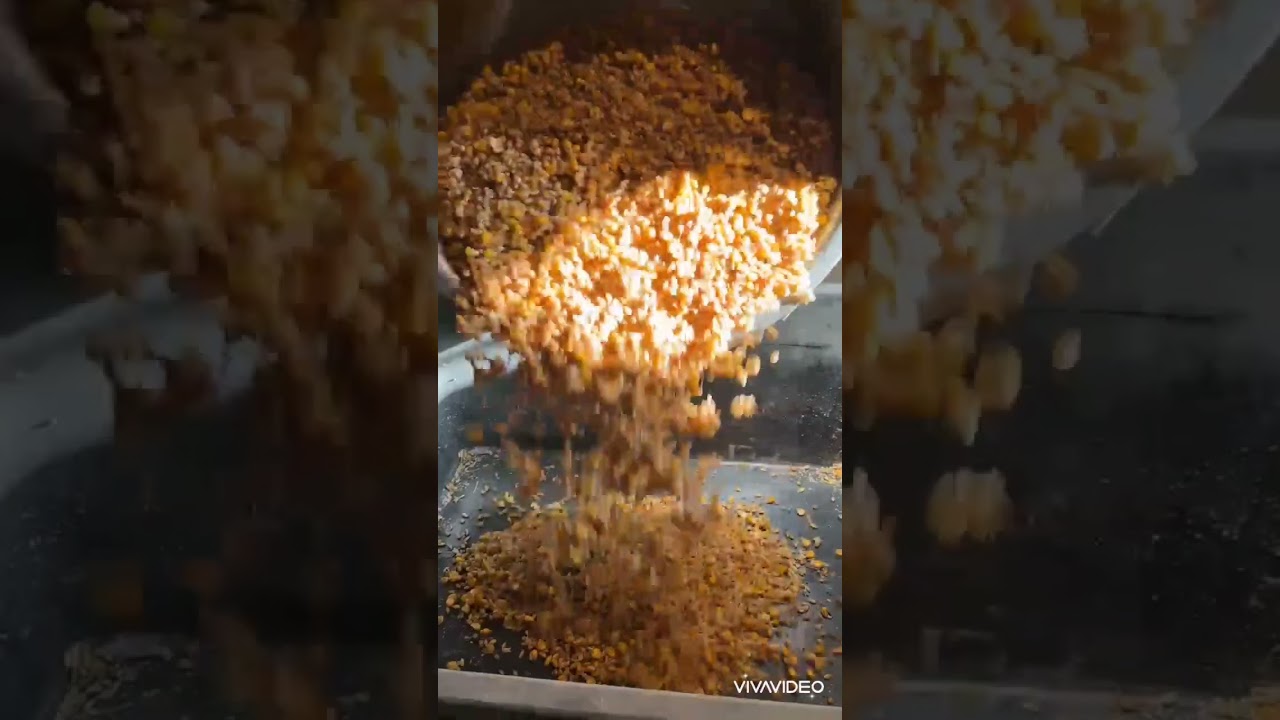 Жем дайындау әдісі! Жемді үнемдеу!Қошқар бағу