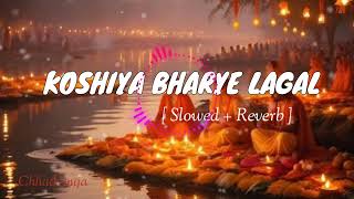 Koshiya Bharye Lagal Chhath lofi song (Slowed+Reverb) कोशिया भराई लागल  | bhojpuri chhath Geet | screenshot 4