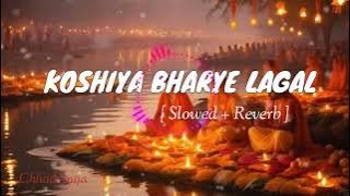 Koshiya Bharye Lagal Chhath lofi song (Slowed Reverb) कोशिया भराई लागल  | bhojpuri chhath Geet |