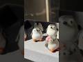 Cute penguin Desk friend #coldporcelainclay #charms #claycraft #penguin