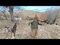Winter mission in the oak realm: Jahangir's battle with dry wood!