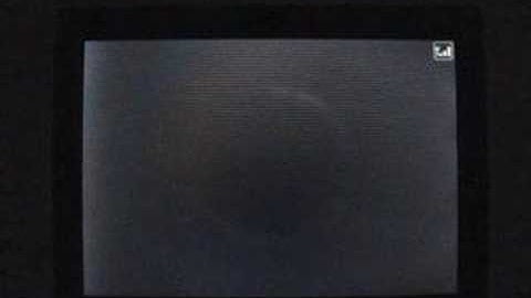 Claydol for a...Claydol?