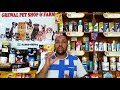 Pet Care - Don't Serve Milk For Dog - Bhola Shola
