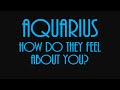 Aquarius December 2020 ❤ They Felt Instant Soul Recognition With You Aquarius