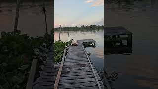 Afuá em Pará #turismo #amapa #para #macapa