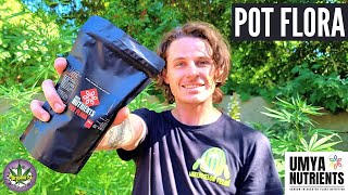 Understanding Umya Pot Flora  Ep144