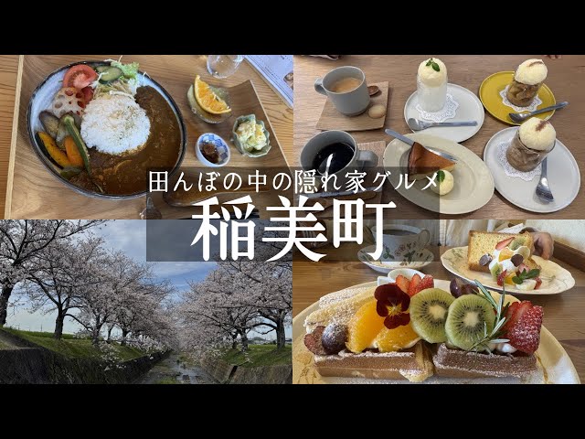 スーちゃん 甘い木の実のステキな場所 Inami Town] Explore hidden gourmet spots in the rice fields