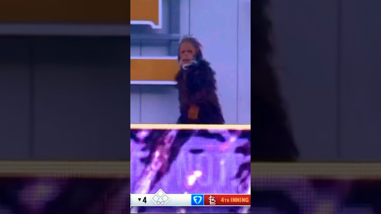 Vinnie Pasquantino Crushes 448-Foot Solo Homer vs. Cardinals! 