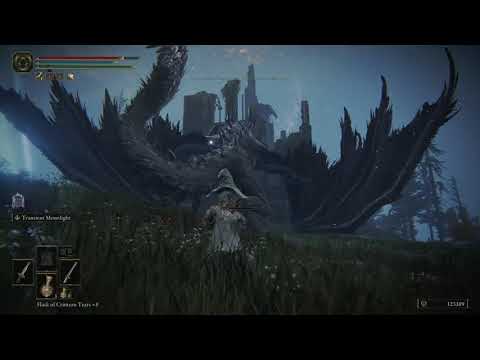 Elden Ring - Glintstone Dragon Adula Bossfight (Cathedral of Manus Celes)