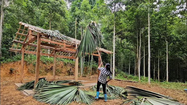 Single Mom Devotes Her Youth to Building a Safe Bamboo House in the Forest for Shelter