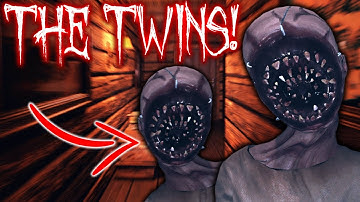The Twins are Actually INSANE - Phasmophobia Guide