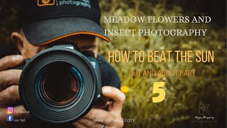 wild meadow flowers and insect macro photography.