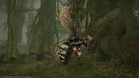 FFXIV Heavenwards Stinging Sofie