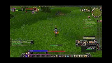 Solo Hogger - Hardcore Classic - Rogue