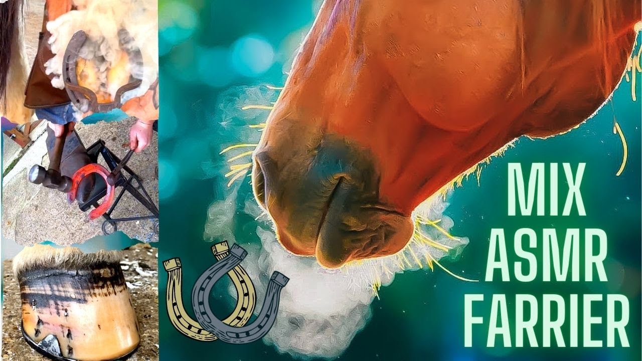 Mix Farrier Restoration....Episode 4 !!! YouTube