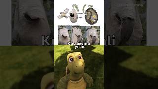 Doğayı Anlamak Çok Zor 🤯