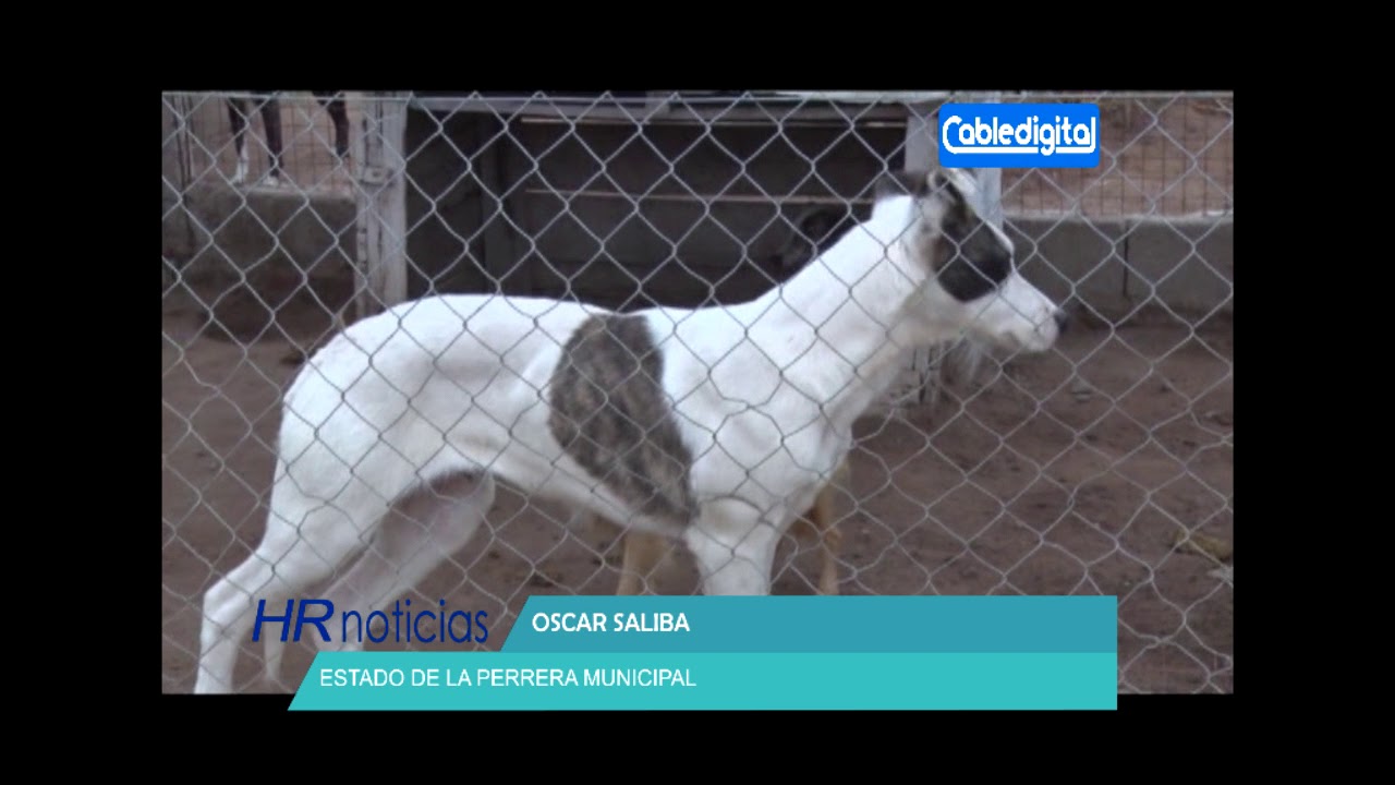 JOSE RIVERO VISITA DE ALUMNOS A LA BLOQUERA MUNICIPAL OSCAR SALIBA ESTADO DE LA PERRERA huinca renaco