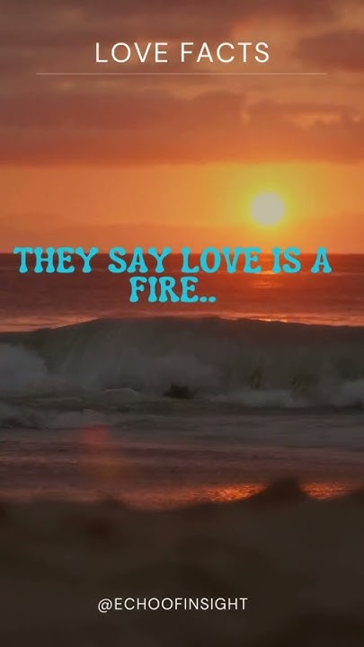 they-say-love-is-a-fire-subscribe-shorts-youtube
