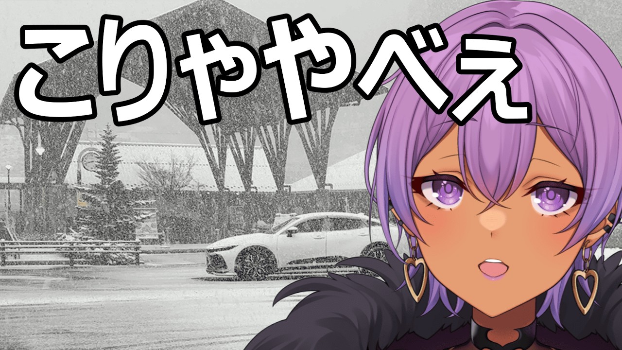 【車中泊vlog】秘密結社総帥が旅に出る!!!【#モモヴィオレッタ】#vtuber