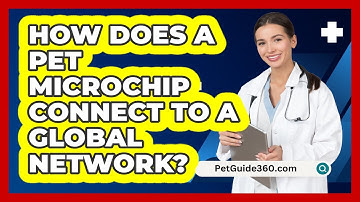 How Does A Pet Microchip Connect To A Global Network? - PetGuide360.com