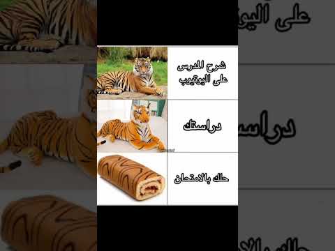 مين يتفق جيش نبق نبق افضل صانع محتواى بلودسترايك العرب بلود سترايك لايك اشتراك لايك اكسبلور