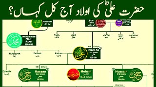 Family Tree of Hazrat Ali | The Most Influential Muslim of All Time | Part 01 | Nasheed @calmislam