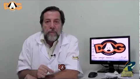 Qual a causa do carrapato?