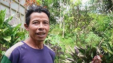 Pesona Alam dan Curug di Selatan Bandung