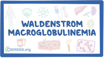 Waldenstrom Macroglobulinemia (NORD)