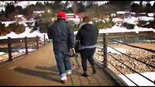 T311 B3.flv