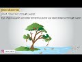 Seed Dispersal Quiz