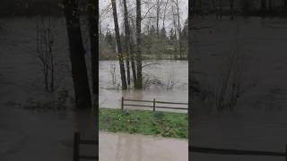 Flooding in Sumner, WA | December 11, 2025