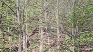 20100410_1147am_midwood.mov