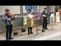 瀬戸の花嫁(昭和47年) バイオリン演歌ライブ