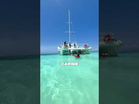 EL TOUR MÁS VIRAL DE COZUMEL 2026 🌴 (Club de Playa + Buffet + Snorkel + Transporte)