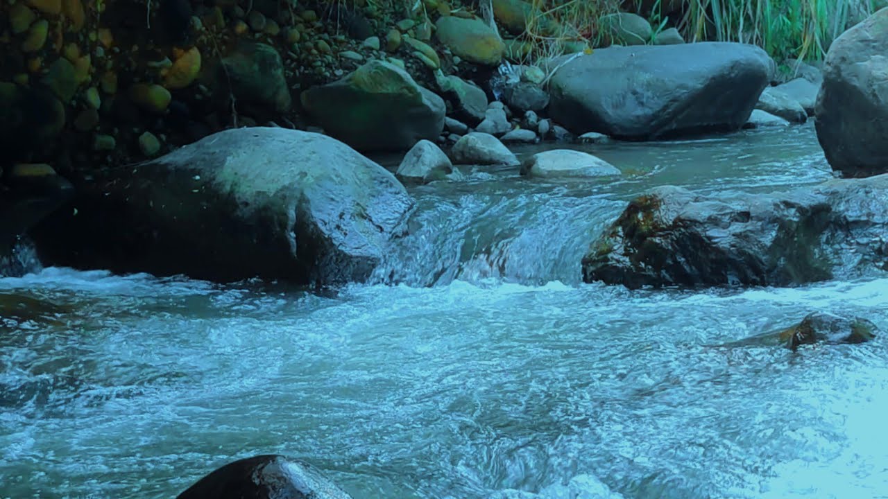 Peaceful River Ambience with Birds – Sleep, Relax & Unwind