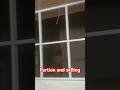 Partition and selling