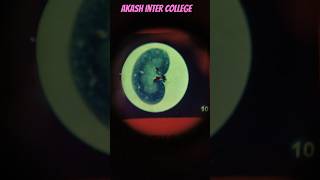 observing kidney under microviewer #kidney #microviwer#biologylab#biology #practical #science#viral