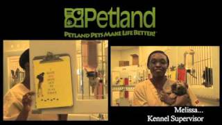 iPledge Petland Cicero