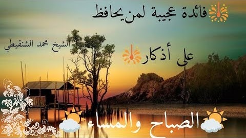🎇فائدة عجيبة لمن يحافظ على أذكار⁦🌤️⁩ الصباح والمساء ⁦🌤️⁩..الشيخ محمد الشنقيطي🎆