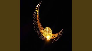 Mera Nabi
