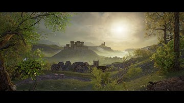 Medieval Scene - Speedtree - Brushify -  Unreal Engine Animation