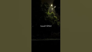ما اجمل القران الكريم.😌🫀 #اكسبلور #تلاوة_خاشعة #لايك #راحة_نفسية #الرحمن #قران_كريم #المصحف